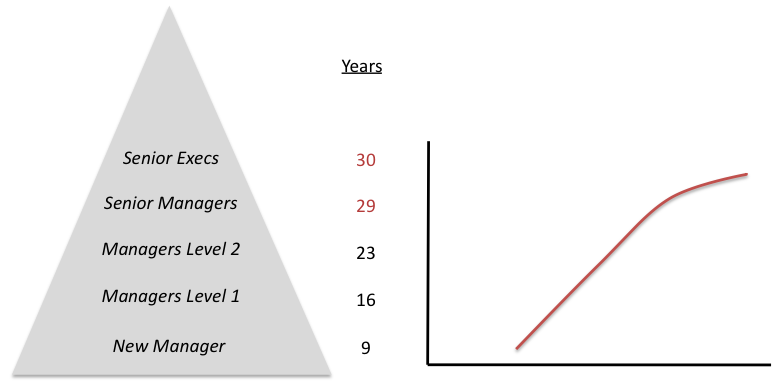 A management pyramid for Europe (Senior Execs 30 years down to New Manager 9 years) alongside its experience curve, which plateaus near the top instead of continuing to climb.